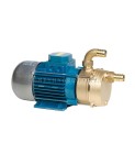 Pompa ECC 24/25 Tellarini