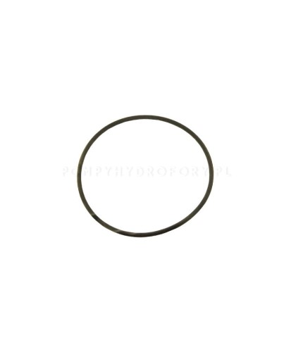 O-ring 002221644 Lowara