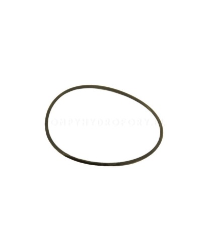 O-ring 002221647 Lowara