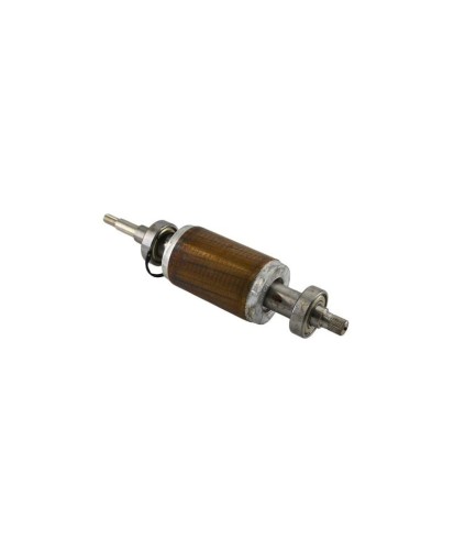 Wirnik silnika pompy Lowara CEA 155106283