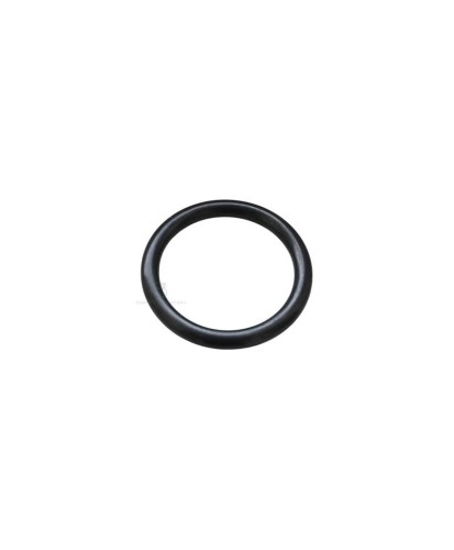 Uszczelka stopy sprzęgającej pompy ABS Sulzer Piranha DN50 11120828