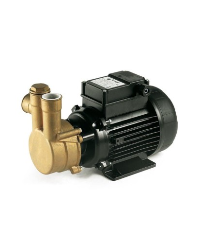 Pompa peryferalna LB 100