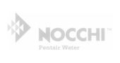 Nocchi
